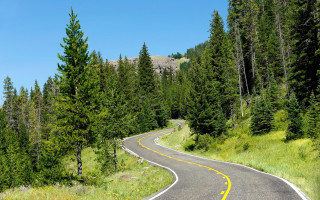 Winding road forest mountain blue - tall tree free wallpaper