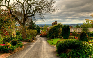 Road tree bushes house landscape - alan sutherland free wallpaper