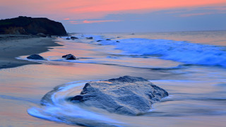Beach rock waves sunset pink - mystical free wallpaper for desktop