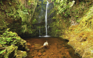 Jungle waterfall man horse ecological - a river next free wallpaper