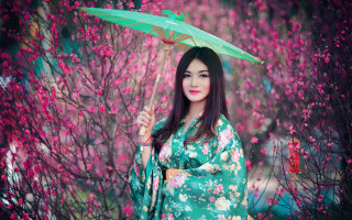 Woman kimono umbrella cherryblossoms spring 2 - japanese free wallpaper