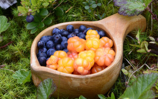 Wooden spoon berries garden nature - a wooden spoon free wallpaper
