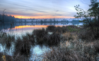 Lake sunset forest bushes citylights - hdr free wallpaper