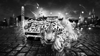 Tiger running smoke car destruction - a tiger free wallpaper for desktop