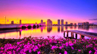 Sunset city lake flowers bridge - beautiful scenery free wallpaper