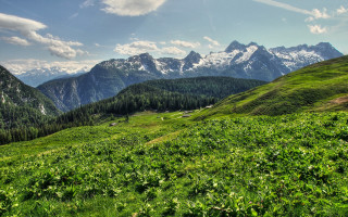 Grassy field mountains clouds blue - a grassy field free wallpaper