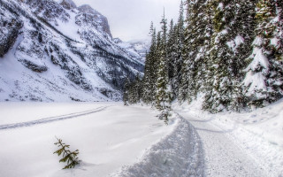 Snowy road mountain forest trail - eric deschamps free wallpaper