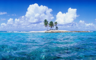 Small island palm trees ocean 18 - two palm tree free wallpaper