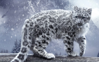 Snow leopard log snow mountains - photoreal free wallpaper