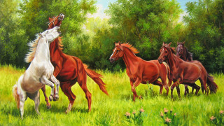 Horses running field trees american - an oil free wallpaper