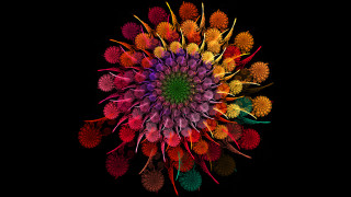 Colorful flower circular green red - free new year wallpaper