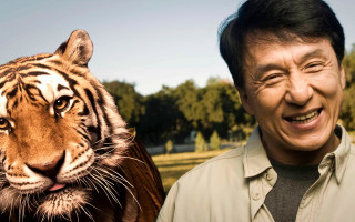 Man tiger smiling asia old - live action free wallpaper