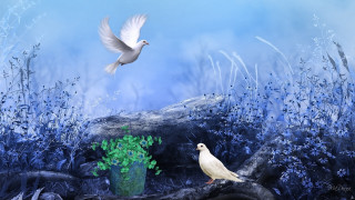 White bird over tree stump - digital painting free wallpaper
