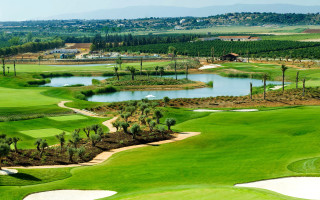 Golf course pond green field - a golf course free wallpaper