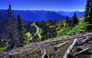Winding road forest mountains nature - the background and trees free wallpaper