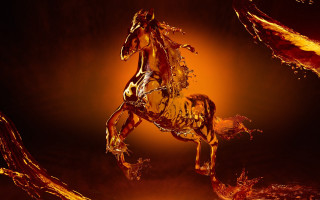 Horse statue golden liquid dark - paint free wallpaper