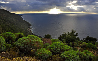 Lake horizon mountain forest sunset - a view of a body free wallpaper