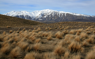 Field mountains bushes snow matte - a few bush free wallpaper