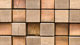Wooden block yellow bird honeycomb - a yellow bird free wallpaper