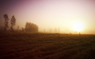 Foggy field trees fence sunset - the sun setting free wallpaper
