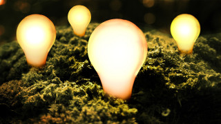 Light bulbs moss ground night - light bulb free wallpaper
