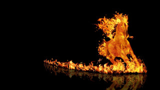 Horse fire reflection water dark - its reflection free wallpaper