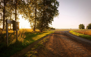 Dirt road sign field trees - a field in the background free wallpaper