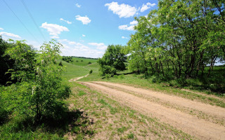 Dirt road green field hill - landscape free wallpaper for desktop