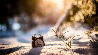 Small clock snow tree branch - a few leaf free wallpaper