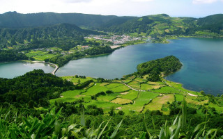 Lake hills trees town mountains - lush green hill and trees free wallpaper