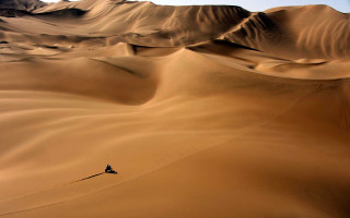 Desert walker sand dunes sunset - a desert free wallpaper