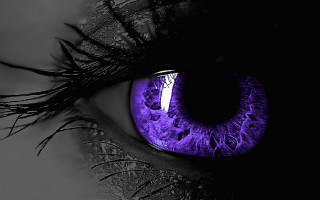 Purple iris eye gothic forest - a close up of a persons eye free wallpaper