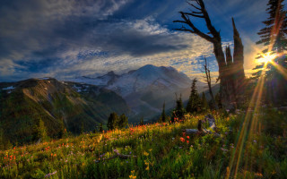 Mountain sunset forest lake river - crepuscular free wallpaper