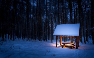 Snowy forest cabin night aurora 2 - roof free wallpaper