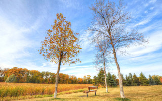 Bench field trees clouds autumn - cloud above free wallpaper