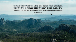 Bird mountain horizon hope nature - the lord free wallpaper