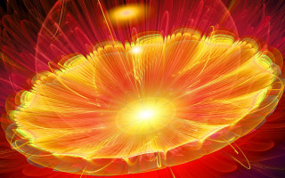 Bright yellow flower red background - a red center free wallpaper