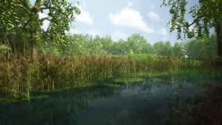 Swampy landscape blue sky trees - a swampy area free wallpaper