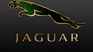 Black gold jaguar logo green - enguerrand quarton free wallpaper