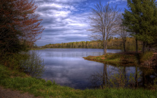 Lake forest path bench autumn - the background and a path free wallpaper