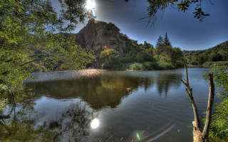 Lake mountain trees sun birds - tree and a mountain in the background free wallpaper