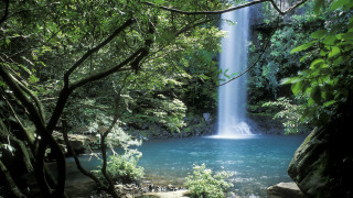 Waterfall forest blue pool trees 2 - asai chū free wallpaper