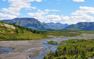 River valley mountains trees sunny - a lush green valley free wallpaper