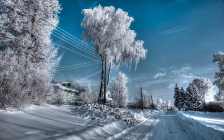 Snowy road telephone pole bare - snow and ice free wallpaper