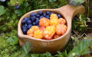 Wooden spoon blueberries oranges ecological - akseli gallenkallela free wallpaper