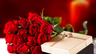 Red roses bouquet gift box - a bouquet free wallpaper