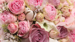 Bouquet pink white flowers rococo - a bouquet free wallpaper