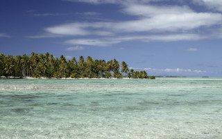 Tropical island palm trees boat - camille bouvagne free wallpaper