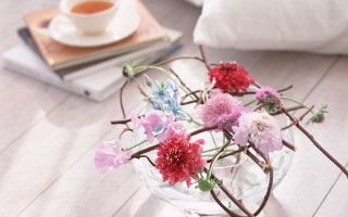 Blurry flower vase tea book - soft free wallpaper