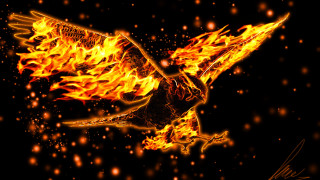 Fiery bird flame wings 3d - blender and photoshop free wallpaper